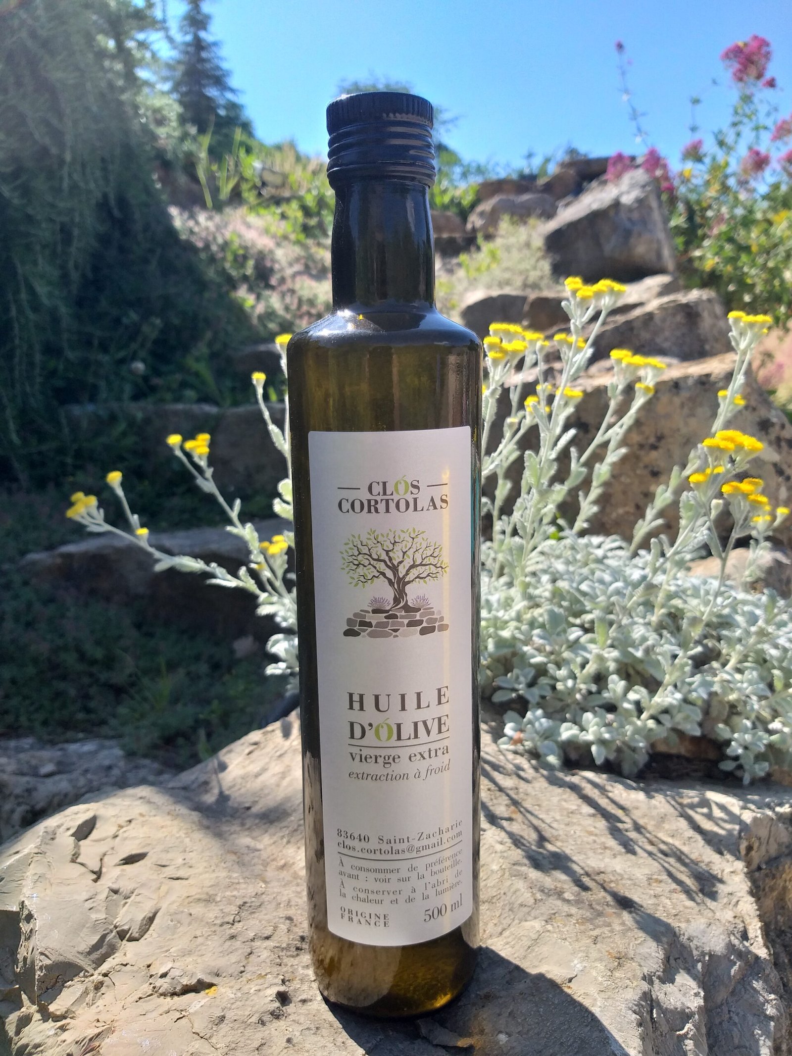 Huile d'Olive Fruité Vert 500 ml